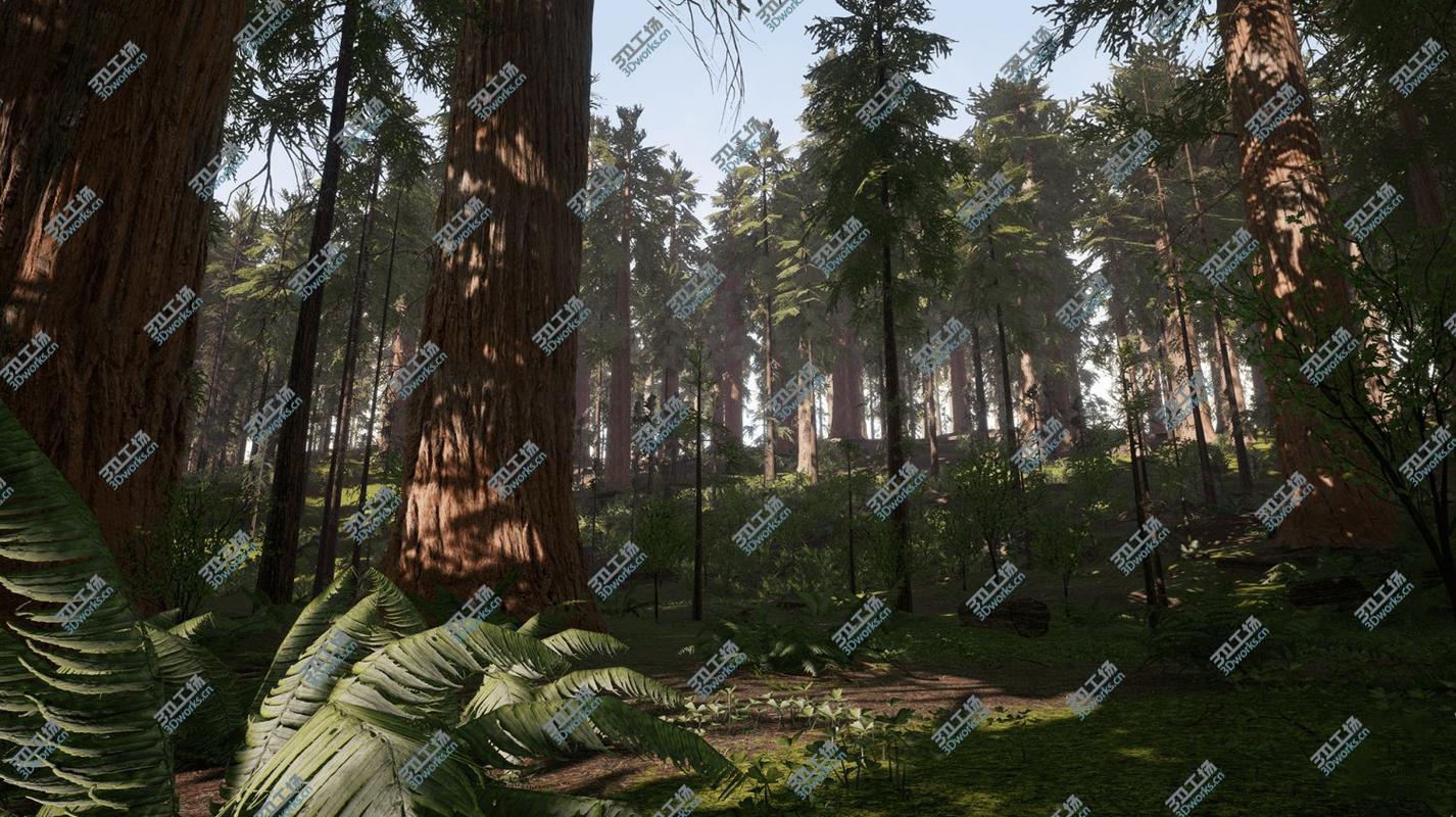 images/goods_img/202105073/Redwood Forest for Game Ready model/1.jpg